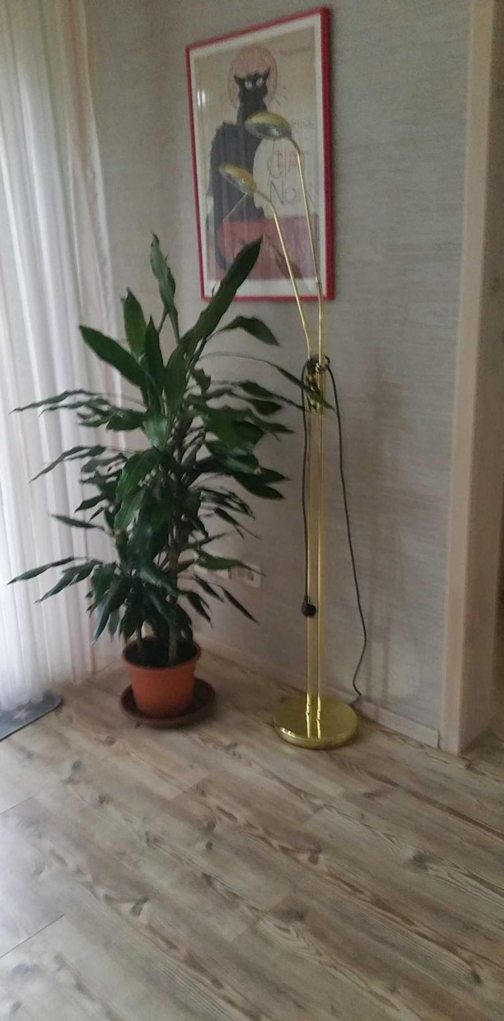 Ferienwohnung Rombachs Spatzennest Herbolzheim Dış mekan fotoğraf